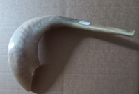 Ram Shofars