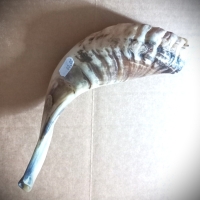 Ram Shofars