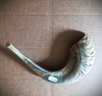 Ram Shofars