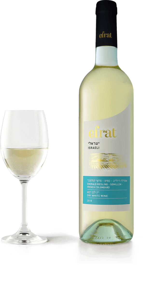 Efrat Israëli droge witte wijn